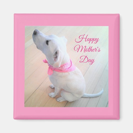 Cute White Dog Wearing Pink Scarf Moederdag Magneet (Voorkant)