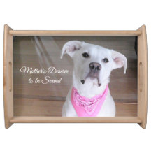 Cute White Dog Wearing Roze Scarf Mam