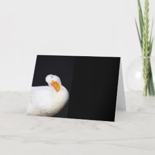 Cute White, Duck, blanco briefkaart