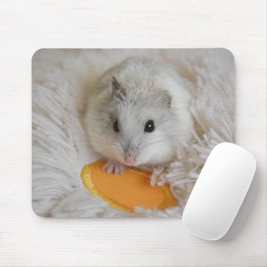 Cute White Dwarf Hamster Pet Muismat (Met muis)