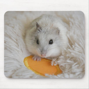 Cute White Dwarf Hamster Pet Muismat