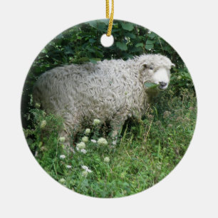 Cute White Fluffy Sheep Eating Keramisch Ornament
