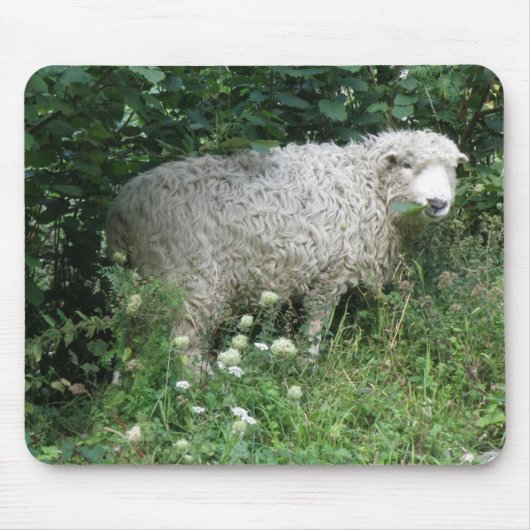 Cute White Fluffy Sheep Eating Mousepad Muismat (Voorkant)
