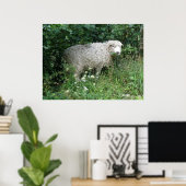 Cute White Fluffy Sheep Eating Print (Thuiskantoor)