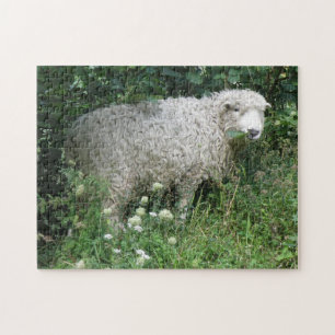 Cute White Fluffy Sheep Eating Puzzle Legpuzzel
