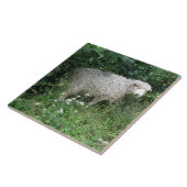 Cute White Fluffy Sheep Eating Tile Tegeltje (Zijkant)