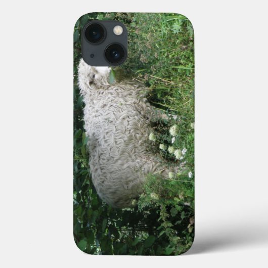 Cute White Fluffy Sheep iPad Case (Achterkant)