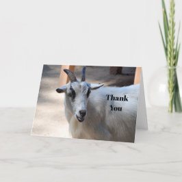 Cute White Goat Photo Bedankkaart