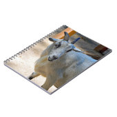 Cute White Goat Photo Notitieboek (Linkerzijde)