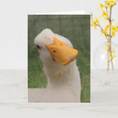 Cute White Goose Birthday Kaart (Gele Bloem)