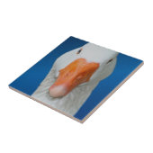 Cute White Goose Natuur Tegeltje (Zijkant)