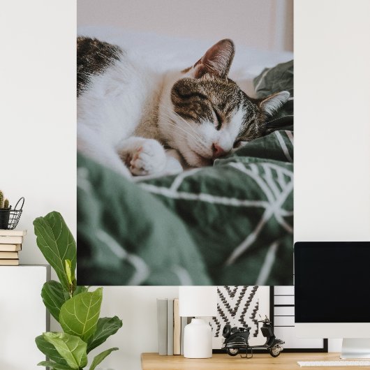 Cute White Grey Cat Slaping Poster (Thuiskantoor)
