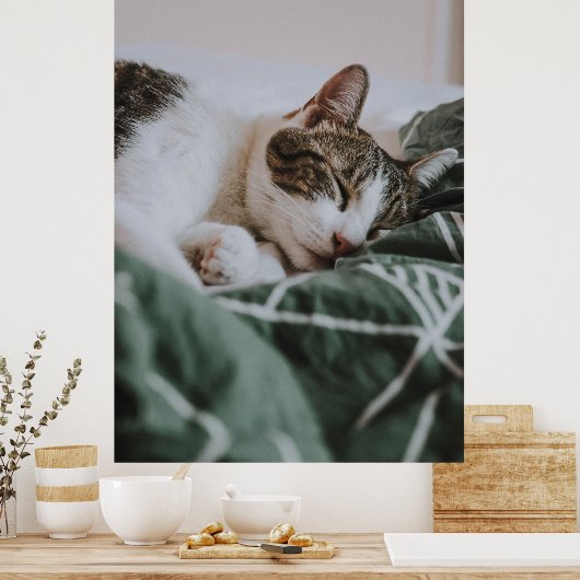 Cute White Grey Cat Slaping Poster (Keuken)