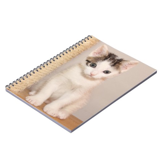 Cute White Kitten met groene ogen Notitieboek (Linkerzijde)