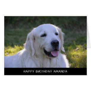Cute White Labrador Dog Birthday Card