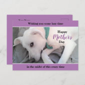 Cute White Labrador Dog Lazy Moederdag Lavender Briefkaart (Voorkant / Achterkant)