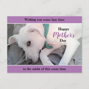 Cute White Labrador Dog Lazy Moederdag Lavender Briefkaart