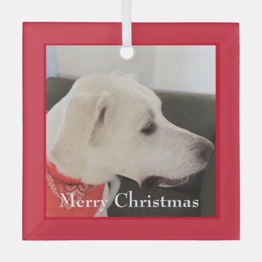 Cute White Labrador Mix Dog Kerstrood Square Glas Ornament (Voorkant)