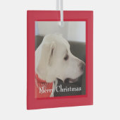 Cute White Labrador Mix Dog Kerstrood Square Glas Ornament (Voorkant Rechts)
