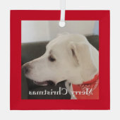 Cute White Labrador Mix Dog Kerstrood Square Glas Ornament (Achterkant)