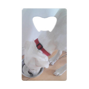 Cute White Labrador Mix Puppy Dog Drink water Creditkaart Flessenopener