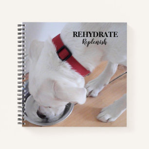 Cute White Labrador Mix Puppy Dog Drink water Notitieboek