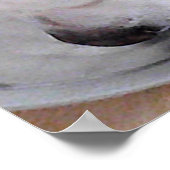 Cute White Labrador Mix Puppy Dog Drink water Poster (Hoek)