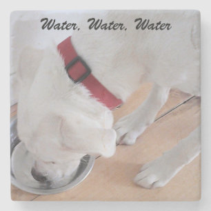 Cute White Labrador Mix Puppy Dog Drink water Stenen Onderzetter