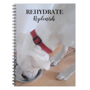 Cute White Labrador Mix Puppy Dog Drinking Water Notitieboek