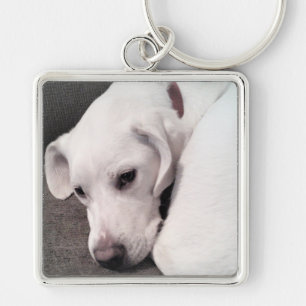 Cute White Lazy Labrador Retriever Mix Dog Keychai Sleutelhanger