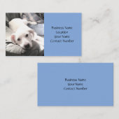 Cute White Lazy Puppy Dog on Couch with Pap Blue Visitekaartje (Voorkant / Achterkant)