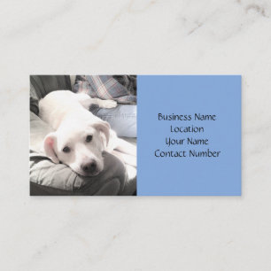 Cute White Lazy Puppy Dog on Couch with Pap Blue Visitekaartje