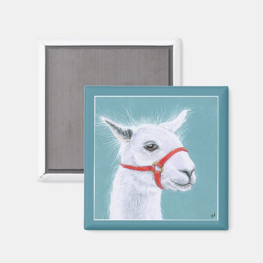 Cute White Llama magnet (Voorkant / Achterkant)