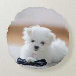 Cute White Maltese puppy Rond Kussen