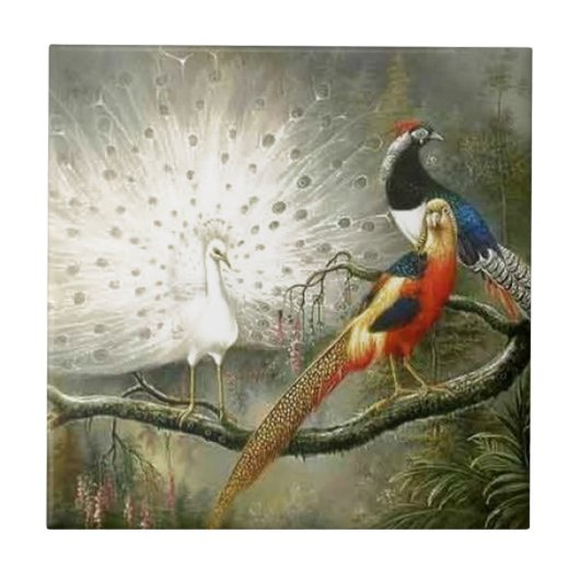 Cute White pauock koppel fazant paring Tegeltje (Voorkant)