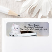 Cute White Persian Kitten Etiket (Insitu)