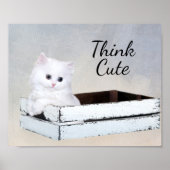 Cute White Persian Kitten Poster (Voorkant)