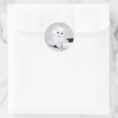 Cute White Persian Kitten Ronde Sticker (Tas)