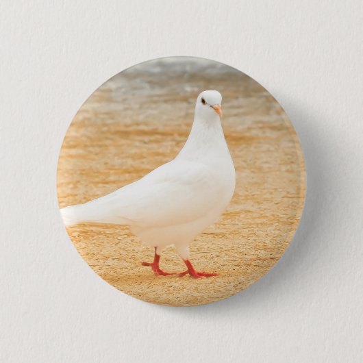 Cute White Pigeon Bird Ronde Button 5,7 Cm (Voorkant)