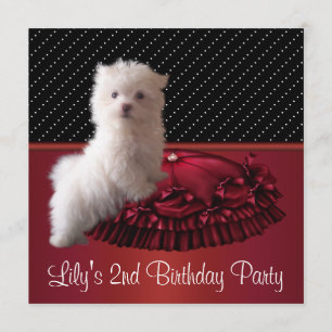 Cute White Puppy Birthday Party Invitations Kaart