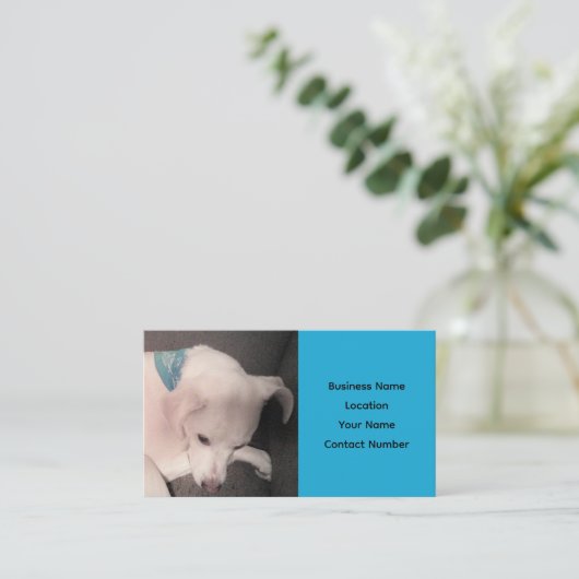 Cute White Puppy Dog Beauful Blue Visitekaartje (Staand voorkant)