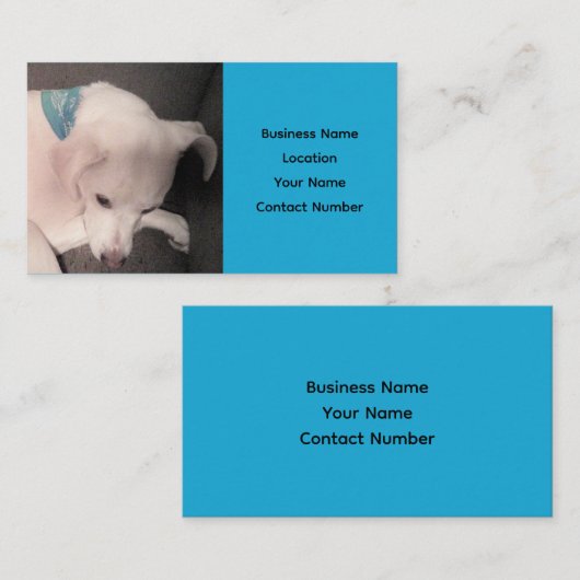 Cute White Puppy Dog Beauful Blue Visitekaartje (Voorkant / Achterkant)