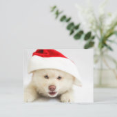 Cute White Puppy Dog in Santa Hat Kerstmis Briefkaart (Staand voorkant)