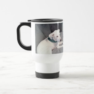 Cute White Puppy Dog met groene scarf Grey Reisbeker