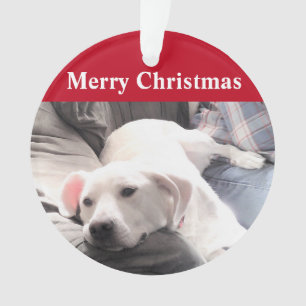 Cute White Puppy Dog met pap Red Ornament
