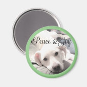 Cute White Puppy Dog Peace and Joy Sage Green Magneet (Voorkant / Achterkant)