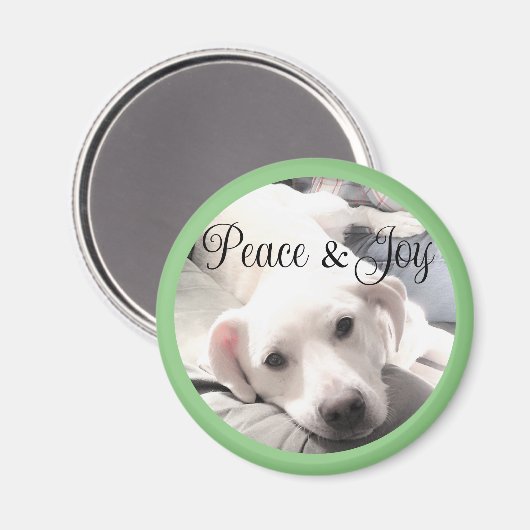 Cute White Puppy Dog Peace and Joy Sage Green Magneet (Voorkant / Achterkant)