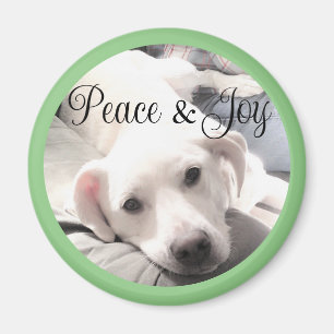 Cute White Puppy Dog Peace and Joy Sage Green Magneet