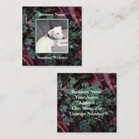 Cute White Puppy Dog Shamrocks Clovers Green Vierkante Visitekaartje (Voorkant / Achterkant)