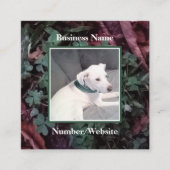 Cute White Puppy Dog Shamrocks Clovers Green Vierkante Visitekaartje (Voorkant)